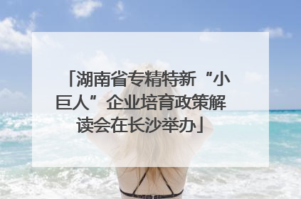 湖南省专精特新“小巨人”企业培育政策解读会在长沙举办