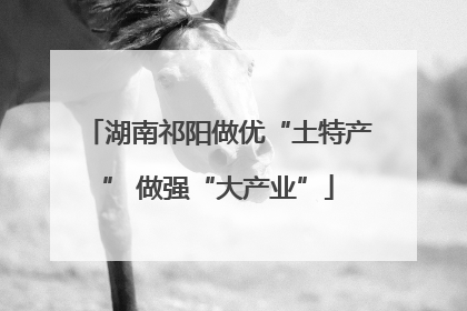 湖南祁阳做优“土特产” 做强“大产业”