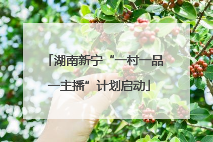 湖南新宁“一村一品一主播”计划启动