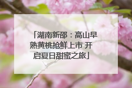 湖南新邵：高山早熟黄桃抢鲜上市 开启夏日甜蜜之旅
