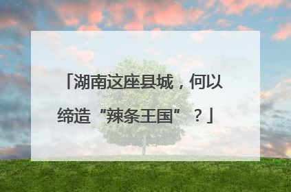 湖南这座县城，何以缔造“辣条王国”？