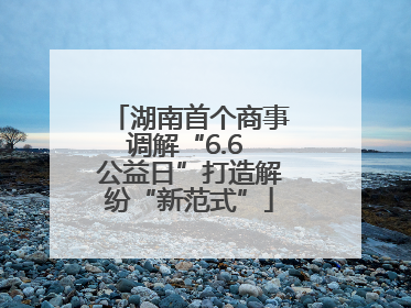 湖南首个商事调解“6.6 公益日”打造解纷“新范式”