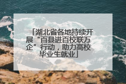 湖北省各地持续开展“百县进百校联万企”行动，助力高校毕业生就业