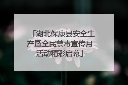 湖北保康县安全生产暨全民禁毒宣传月活动精彩启幕