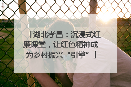 湖北孝昌：沉浸式红廉课堂，让红色精神成为乡村振兴“引擎”