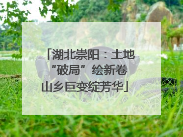 湖北崇阳：土地“破局”绘新卷 山乡巨变绽芳华