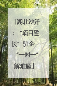 湖北沙洋：“项目警长”驻企 “一对一”解难题