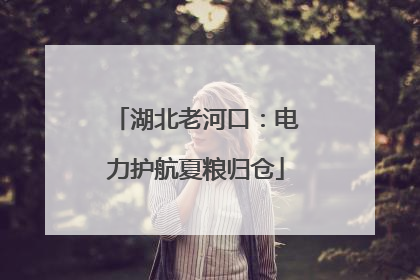 湖北老河口：电力护航夏粮归仓
