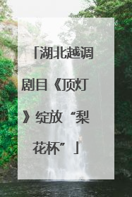 湖北越调剧目《顶灯》绽放“梨花杯”
