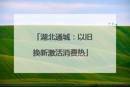 湖北通城：以旧换新激活消费热