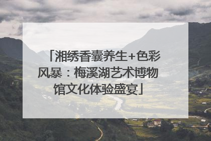 湘绣香囊养生+色彩风暴：梅溪湖艺术博物馆文化体验盛宴