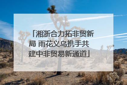 湘浙合力拓非贸新局 雨花义乌携手共建中非贸易新通道