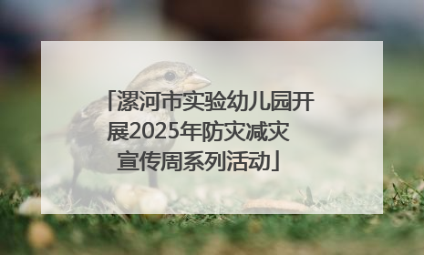漯河市实验幼儿园开展2025年防灾减灾宣传周系列活动