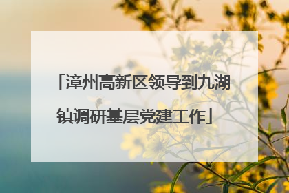漳州高新区领导到九湖镇调研基层党建工作
