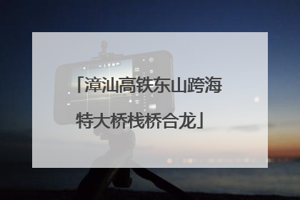 漳汕高铁东山跨海特大桥栈桥合龙