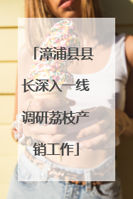 漳浦县县长深入一线调研荔枝产销工作