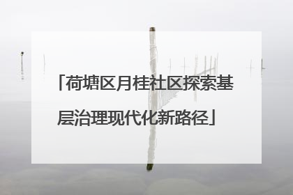 荷塘区月桂社区探索基层治理现代化新路径