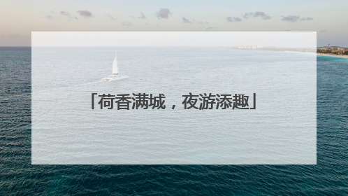 荷香满城，夜游添趣