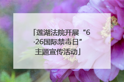 莲湖法院开展“6·26国际禁毒日”主题宣传活动