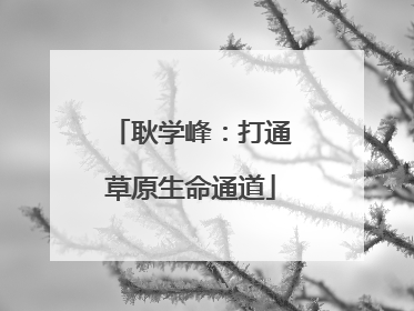 耿学峰：打通草原生命通道