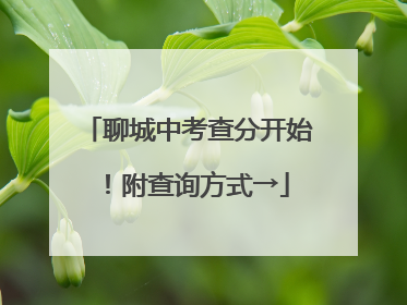 聊城中考查分开始！附查询方式→