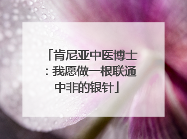 肯尼亚中医博士：我愿做一根联通中非的银针