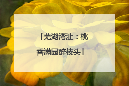 芜湖湾沚：桃香满园醉枝头
