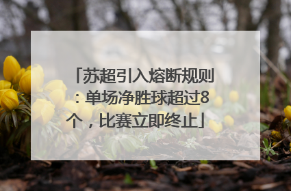 苏超引入熔断规则：单场净胜球超过8个，比赛立即终止