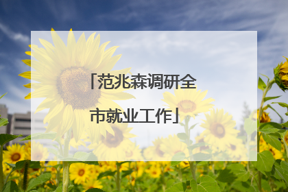 范兆森调研全市就业工作