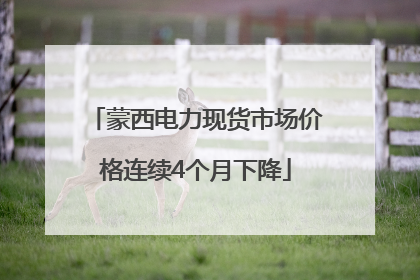 蒙西电力现货市场价格连续4个月下降