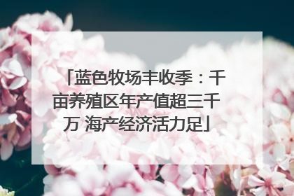蓝色牧场丰收季：千亩养殖区年产值超三千万 海产经济活力足