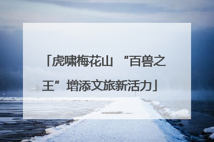 虎啸梅花山 “百兽之王”增添文旅新活力