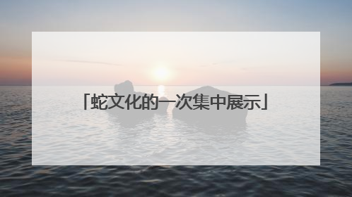 蛇文化的一次集中展示