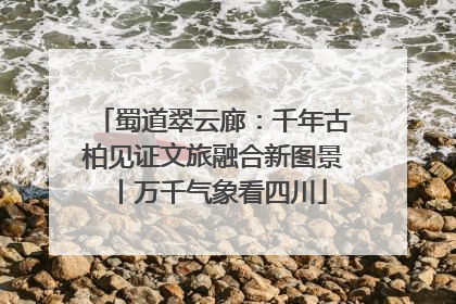 蜀道翠云廊：千年古柏见证文旅融合新图景丨万千气象看四川