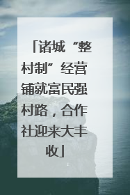 诸城“整村制”经营铺就富民强村路，合作社迎来大丰收
