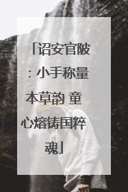 诏安官陂：小手称量本草韵 童心熔铸国粹魂