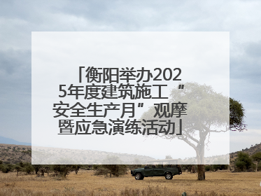 衡阳举办2025年度建筑施工“安全生产月”观摩暨应急演练活动