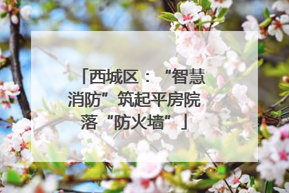 西城区：“智慧消防”筑起平房院落“防火墙”