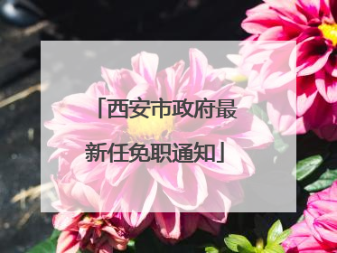 西安市政府最新任免职通知