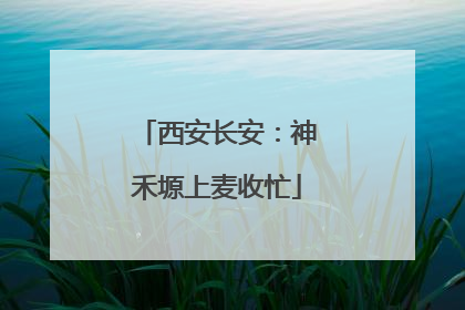 西安长安：神禾塬上麦收忙