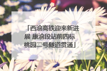 西渝高铁迎来新进展 康渝段站前四标桃园二号隧道贯通
