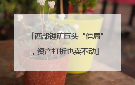 西部锂矿巨头“僵局”，资产打折也卖不动