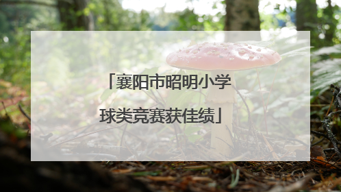 襄阳市昭明小学球类竞赛获佳绩