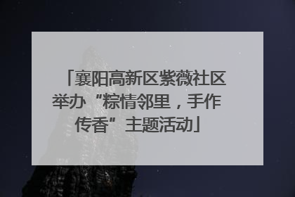 襄阳高新区紫薇社区举办“粽情邻里，手作传香”主题活动