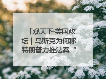 观天下·美国政坛｜马斯克为何称特朗普力推法案“令人作呕”