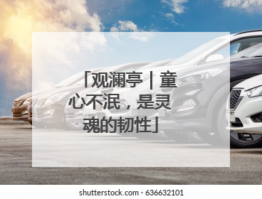 观澜亭｜童心不泯，是灵魂的韧性