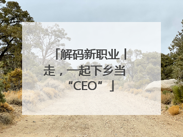 解码新职业丨走，一起下乡当“CEO”