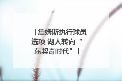 詹姆斯执行球员选项 湖人转向“东契奇时代”