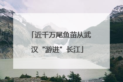 近千万尾鱼苗从武汉“游进”长江
