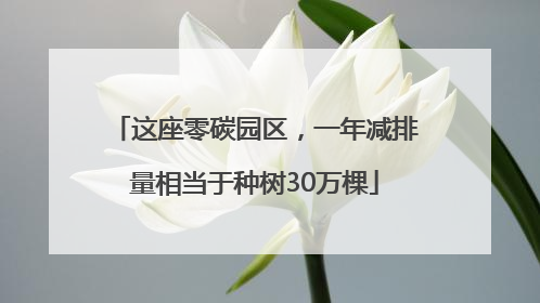 这座零碳园区，一年减排量相当于种树30万棵